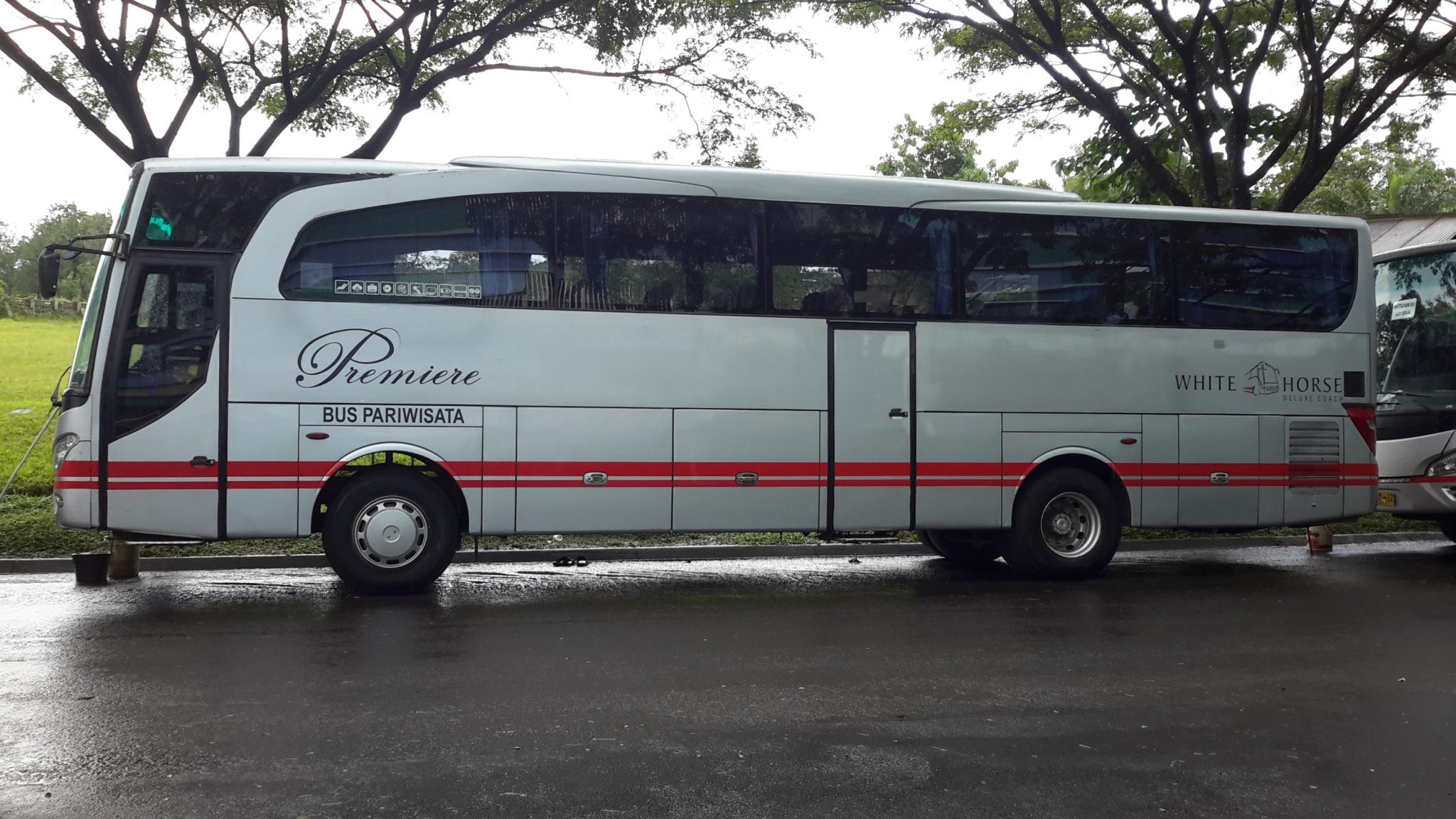 White Horse - Mengenal Tipe dan Jenis Bus Pariwisata dari Berbagai Otobus di Indonesia