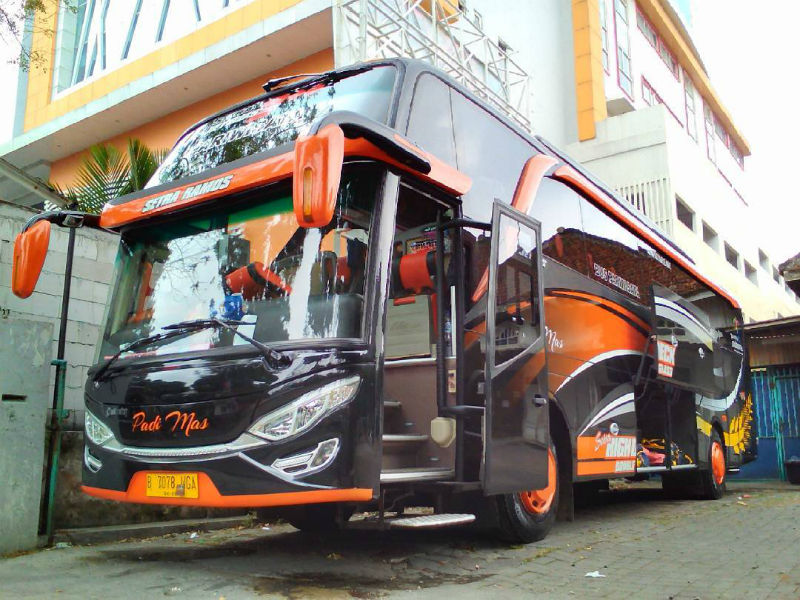 Bus Padi Mas