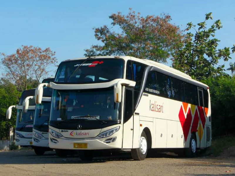Bus Pariwisata - Kalisari