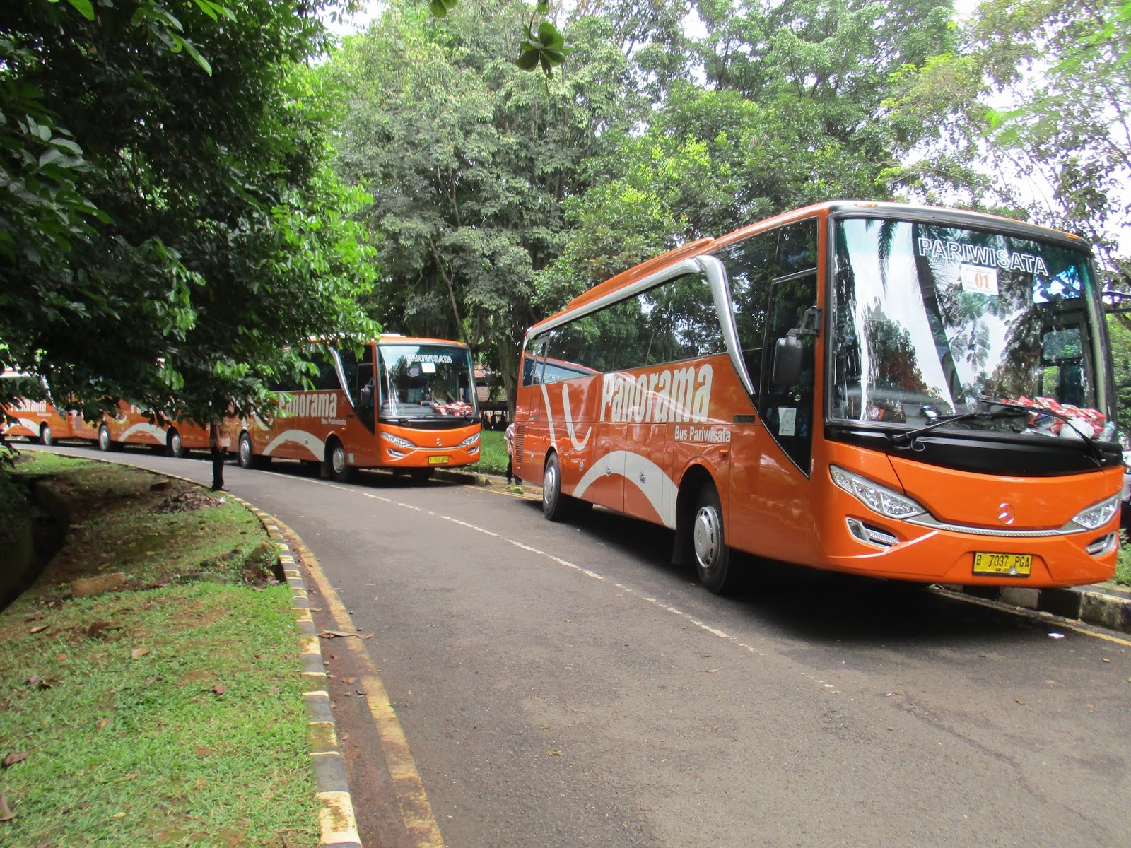 Panorama bus pariwisata - Rekomendasi Bus Pariwisata Jakarta untuk Perjalanan yang Aman dan Menyenangkan