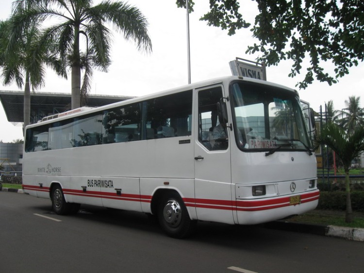 White Horse - Rekomendasi Bus Pariwisata Jakarta untuk Perjalanan yang Aman dan Menyenangkan
