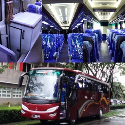 Big Bus seat 2-2 45 seat - Efa Transport